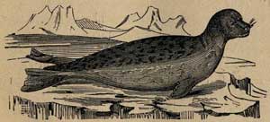 Большой морской змей (Сказка Андерсена), рис.2
