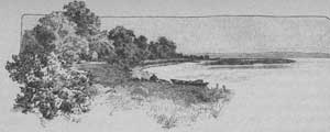 Отпрыск райского растения (Сказка Андерсена), картинка