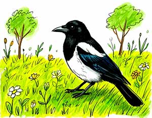 Вам не нужна сорока? - Агния Барто