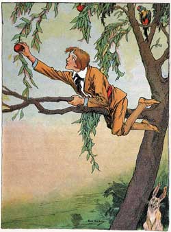 Пропавшая Принцесса Страны Оз (Сказка Л.Ф. Баума), рис.13 Пропавшая Принцесса Страны Оз (Сказка Л.Ф. Баума), рис.13