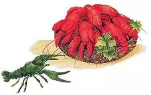 Где раки зимуют (Сказка Бианки В.В.), картинка