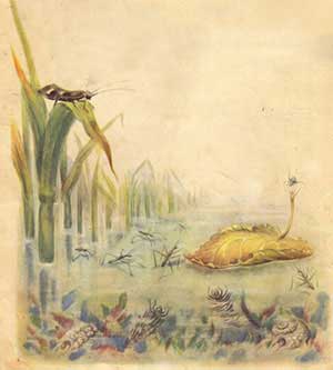 Паучок-пилот (Сказка Бианки В.В.), рис.12