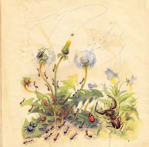 Паучок-пилот (Сказка Бианки В.В.), картинка