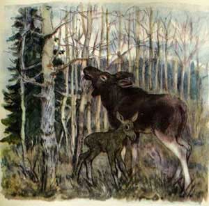 Зоопарк (Сказка Бианки В.В.), рис.10