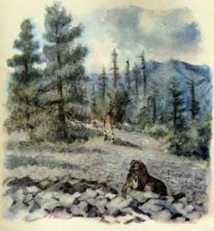 Зоопарк (Сказка Бианки В.В.), рис.14