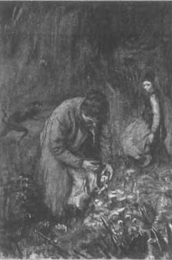 Вечер накануне Ивана Купала - Вечера на хуторе близ Диканьки (Сказка Гоголя), рис.2