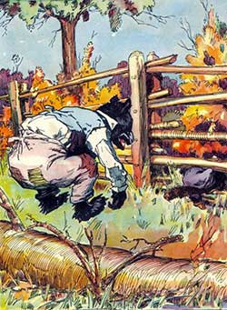 Почему у Братца Опоссума голый хвост, рис.2