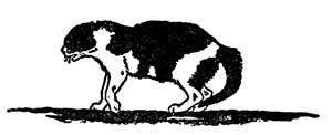 Кот, который гулял где хотел (Сказка Киплинга Р.Д.), рис.4
