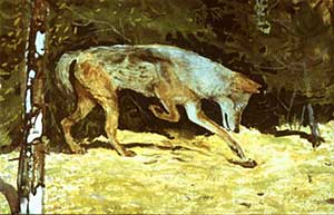 Белый Клык - Джек Лондон, рис.12