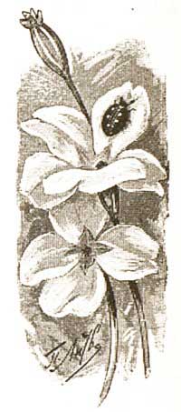 Пора спать (Сказка Мамина-Сибиряка), рис.2