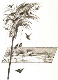Пора спать (Сказка Мамина-Сибиряка), рис.6
