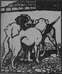 Постойко (Сказка Мамина-Сибиряка Д.Н.), картинка