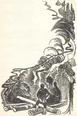 В глуши - Мамин-Сибиряк Д.Н., рис.6