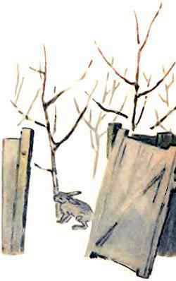 Чужая калитка (Сказка Пермяка Е.А.), рис.4