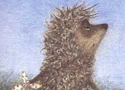 Ежик, рис.6