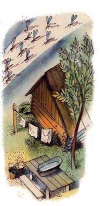 Комары (Стихи Агнии Барто, Младший брат), рис.1