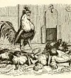 Истинная правда Истинная правда (Сказка Андерсена), картинка