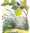 Под грибом Под грибом (Сказка Сутеева В.Г.), картинка