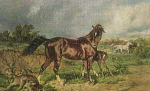 Волк и кобыла (Сказка Толстого Л.Н.), картинка