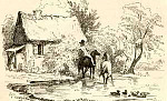 Соседи (Сказка Андерсена), картинка