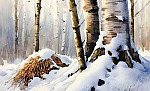 Муравьи - Пришвин