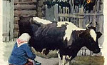 Коровка - Ушинский К.Д.