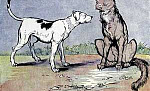 Волк и собака (Сказка Толстого Л.Н.), рисунок