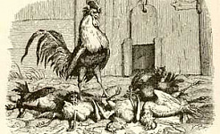 Истинная правда (Сказка Андерсена), картинка
