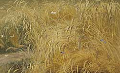 Колос - Басня Крылова И.А.