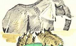 Шакалы и слон (Сказка Толстого Л.Н.), картинка