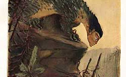 Медной горы хозяйка (Сказка Бажова П.П.), картинка