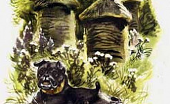 Что случилось с Булькой в Пятигорске (Сказка Толстого Л.Н.), картинка