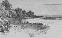 Отпрыск райского растения (Сказка Андерсена), картинка