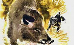 Булька и кабан (Сказка Толстого Л.Н.), картинка