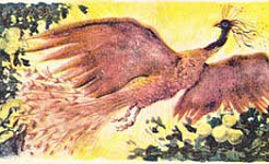 Сказка об Иване-царевиче и Сером Волке (Сказка Жуковского В.А.), картинка