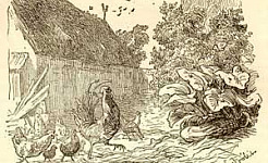 Дворовый петух и флюгерный (Сказка Андерсена), картинка