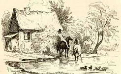 Соседи (Сказка Андерсена), картинка