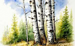 Осинкам холодно - Пришвин