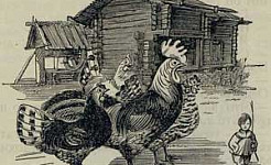 Мальчик-с-пальчик - Толстой А.Н., картинка