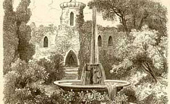 Прекраснейшая роза мира (Сказка Андерсена), картинка