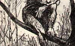 Дикий помещик (Сказка Салтыкова-Щедрина), картинка