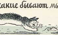 Вот какие бывают мышки, картинка