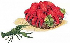Где раки зимуют (Сказка Бианки В.В.), картинка