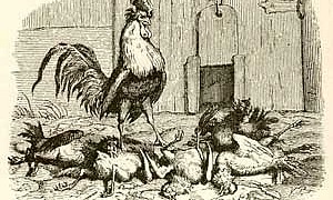 Истинная правда Истинная правда (Сказка Андерсена), картинка