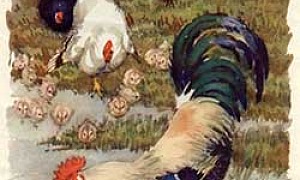 Петушок с семьей Петушок с семьей - Ушинский К.Д.