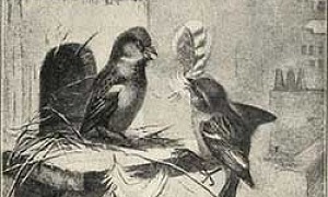 Уличный певец Уличный певец - Сетон-Томпсон, картинка