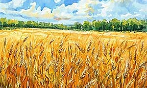 Зреет рожь над жаркой нивой Зреет рожь над жаркой нивой - Фет