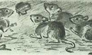 Мышь под амбаром Мышь под амбаром (Сказка Толстого Л.Н.), картинка