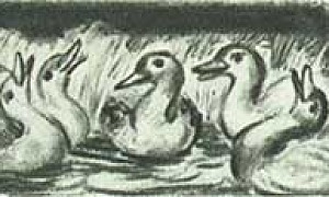 Утка и месяц Утка и месяц (Сказка Толстого Л.Н.), картинка