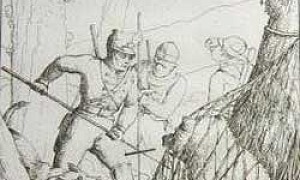 Медведь в сетях Медведь в сетях иллюстрация